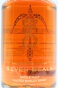 seven-seals_the-age-of-sagittarius_3.jpg