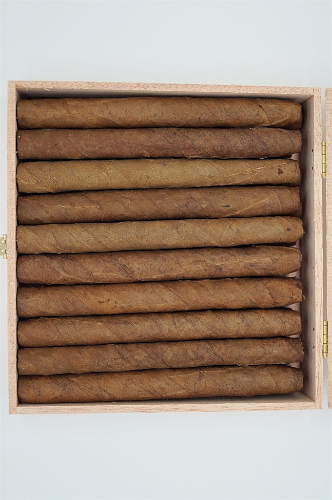 klaus-kleinlagel_senorita-sumatra_2.jpg