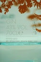 silent-pool_intricately-realised-gin_3.jpg