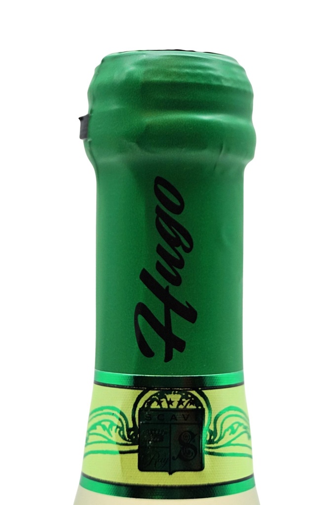 scavi-ray_hugo-0-2l_4.jpg