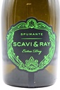 scavi-ray_spumante-luminoso_2.jpg