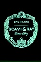 scavi-ray_spumante-luminoso_3.jpg