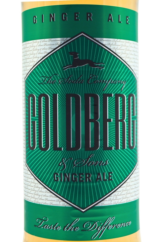 goldberg-sons_ginger-ale-pet-12x1-l_2.jpg