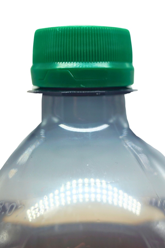 goldberg-sons_ginger-ale-pet-12x1-l_4.jpg