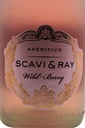 scavi-ray_wild-berry-aperitivo-0-2l-24-x-fl-sparset_3.jpg