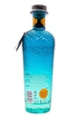 mermaid_gin_1.jpg