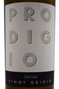 prodigio-del-sole_pinot-grigio-puglia-igp_2.jpg