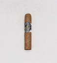 leonel_p-series-450-magnum_2.jpg