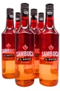Sambuca Classico 6 x Fl. Sparset