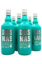 Fresh Mint Kiss Shot 6 x Fl. Sparset