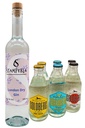 Gin Tonic Bundle