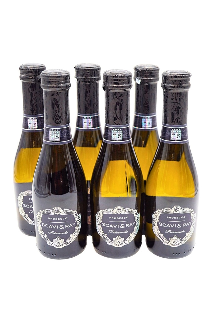 Prosecco DOC Frizzante 0,2l 6 x Fl. Sparset