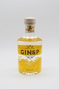 Gin di Torino