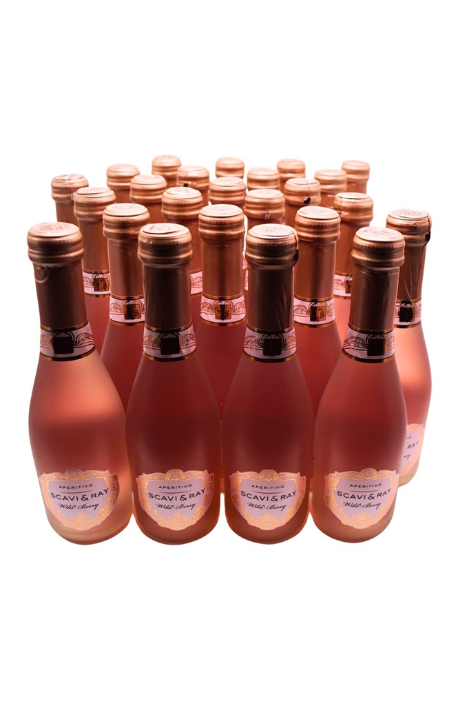 [LH17893] Wild Berry Aperitivo 0,2L 24 x Fl. Sparset